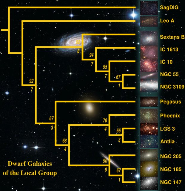 First galaxy tree ever! Cladogram on the Dwarf Galaxies of the Local Group